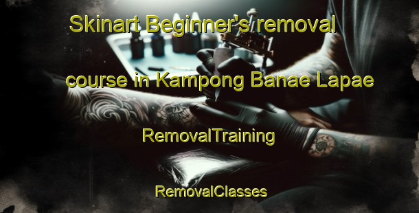 Skinart Beginner's removal course in Kampong Banae Lapae | RemovalTraining | RemovalClasses | SkinartTraining-Thailand