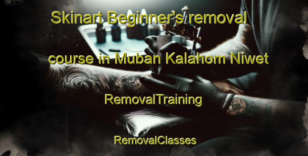 Skinart Beginner's removal course in Muban Kalahom Niwet | RemovalTraining | RemovalClasses | SkinartTraining-Thailand