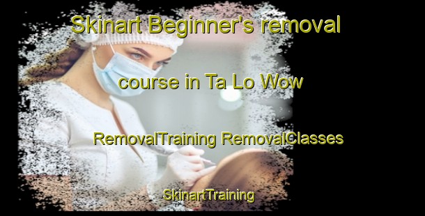 Skinart Beginner's removal course in Ta Lo Wow | #RemovalTraining #RemovalClasses #SkinartTraining-Thailand