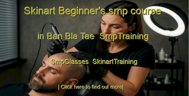 Skinart Beginner's smp course in Ban Bla Tae | SmpTraining | SmpClasses | SkinartTraining-Thailand