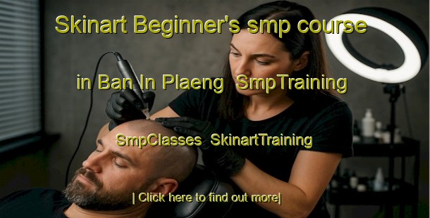 Skinart Beginner's smp course in Ban In Plaeng | SmpTraining | SmpClasses | SkinartTraining-Thailand