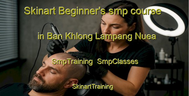 Skinart Beginner's smp course in Ban Khlong Lampang Nuea | SmpTraining | SmpClasses | SkinartTraining-Thailand