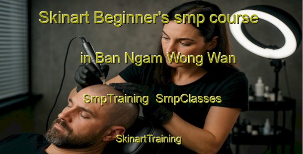 Skinart Beginner's smp course in Ban Ngam Wong Wan | SmpTraining | SmpClasses | SkinartTraining-Thailand