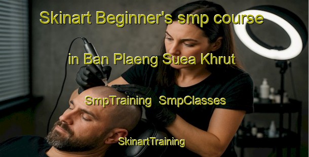 Skinart Beginner's smp course in Ban Plaeng Suea Khrut | SmpTraining | SmpClasses | SkinartTraining-Thailand