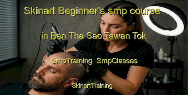 Skinart Beginner's smp course in Ban Tha Sao Tawan Tok | SmpTraining | SmpClasses | SkinartTraining-Thailand