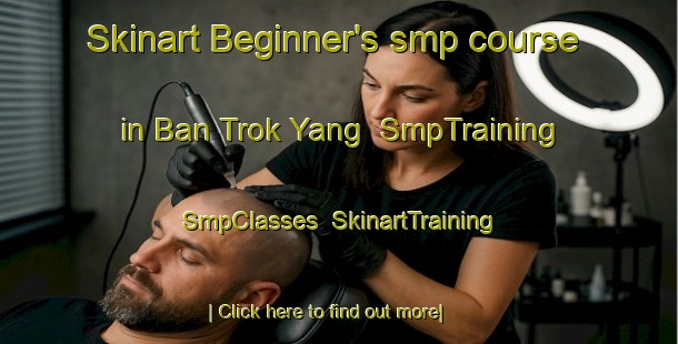 Skinart Beginner's smp course in Ban Trok Yang | SmpTraining | SmpClasses | SkinartTraining-Thailand