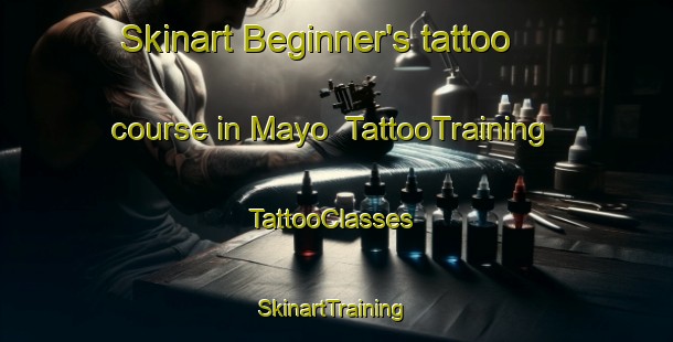 Skinart Beginner's tattoo course in Mayo | TattooTraining | TattooClasses | SkinartTraining-Thailand