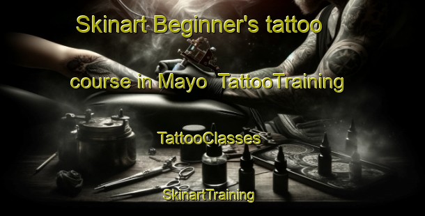 Skinart Beginner's tattoo course in Mayo | TattooTraining | TattooClasses | SkinartTraining-Thailand