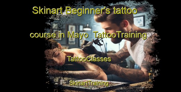 Skinart Beginner's tattoo course in Mayo | TattooTraining | TattooClasses | SkinartTraining-Thailand