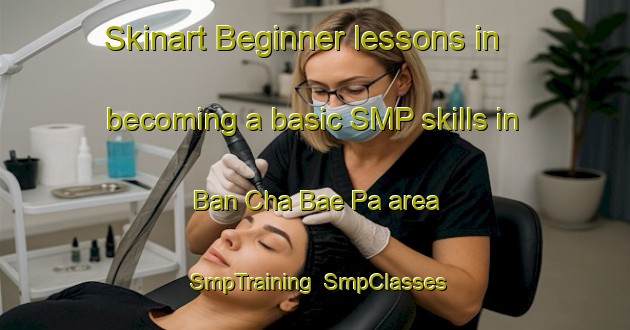 Skinart Beginner lessons in becoming a basic SMP skills in Ban Cha Bae Pa area | SmpTraining | SmpClasses | SkinartTraining-Thailand