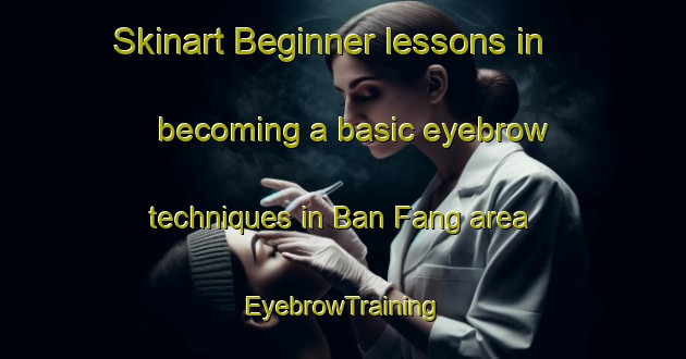Skinart Beginner lessons in becoming a basic eyebrow techniques in Ban Fang area | EyebrowTraining | EyebrowClasses | SkinartTraining-Thailand
