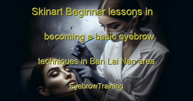 Skinart Beginner lessons in becoming a basic eyebrow techniques in Ban Lai Nan area | EyebrowTraining | EyebrowClasses | SkinartTraining-Thailand