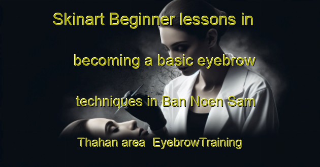 Skinart Beginner lessons in becoming a basic eyebrow techniques in Ban Noen Sam Thahan area | EyebrowTraining | EyebrowClasses | SkinartTraining-Thailand