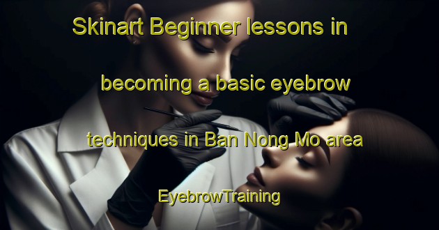 Skinart Beginner lessons in becoming a basic eyebrow techniques in Ban Nong Mo area | EyebrowTraining | EyebrowClasses | SkinartTraining-Thailand