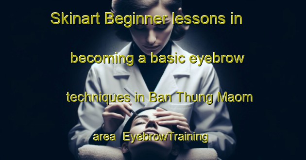 Skinart Beginner lessons in becoming a basic eyebrow techniques in Ban Thung Maom area | EyebrowTraining | EyebrowClasses | SkinartTraining-Thailand