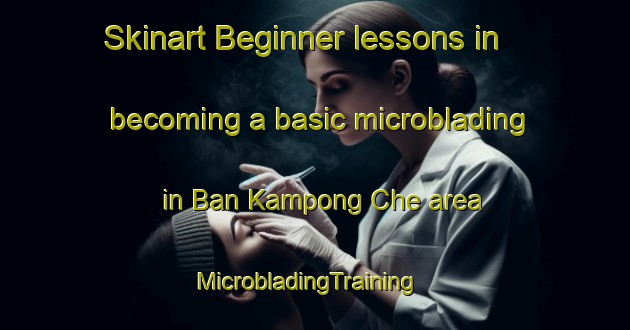 Skinart Beginner lessons in becoming a basic microblading in Ban Kampong Che area | MicrobladingTraining | MicrobladingClasses | SkinartTraining-Thailand