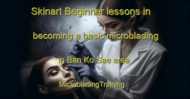 Skinart Beginner lessons in becoming a basic microblading in Ban Ko Sae area | MicrobladingTraining | MicrobladingClasses | SkinartTraining-Thailand