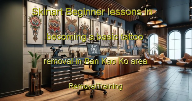 Skinart Beginner lessons in becoming a basic tattoo removal in Ban Kao Ko area | RemovalTraining | RemovalClasses | SkinartTraining-Thailand
