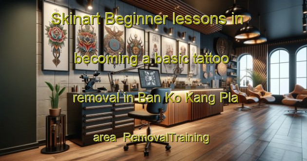 Skinart Beginner lessons in becoming a basic tattoo removal in Ban Ko Kang Pla area | RemovalTraining | RemovalClasses | SkinartTraining-Thailand