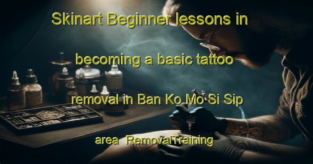 Skinart Beginner lessons in becoming a basic tattoo removal in Ban Ko Mo Si Sip area | RemovalTraining | RemovalClasses | SkinartTraining-Thailand