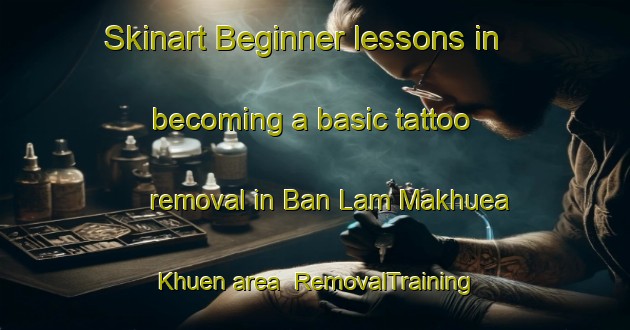Skinart Beginner lessons in becoming a basic tattoo removal in Ban Lam Makhuea Khuen area | RemovalTraining | RemovalClasses | SkinartTraining-Thailand