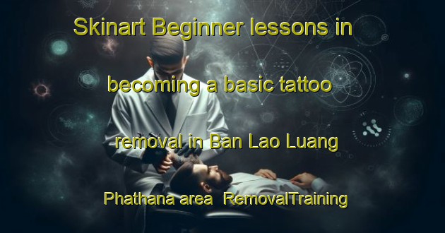 Skinart Beginner lessons in becoming a basic tattoo removal in Ban Lao Luang Phathana area | RemovalTraining | RemovalClasses | SkinartTraining-Thailand