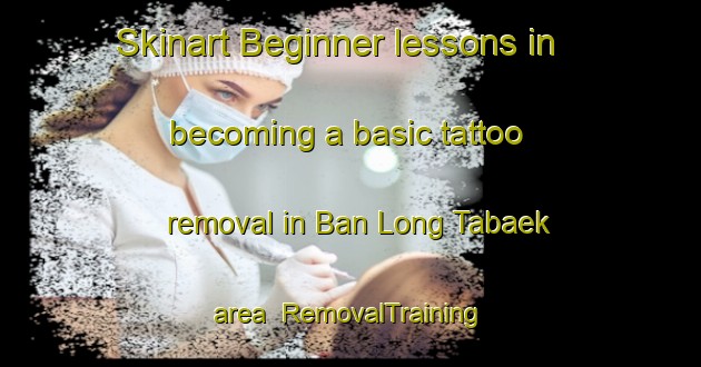 Skinart Beginner lessons in becoming a basic tattoo removal in Ban Long Tabaek area | RemovalTraining | RemovalClasses | SkinartTraining-Thailand