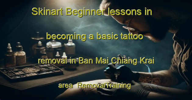 Skinart Beginner lessons in becoming a basic tattoo removal in Ban Mai Chiang Krai area | RemovalTraining | RemovalClasses | SkinartTraining-Thailand
