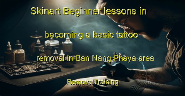 Skinart Beginner lessons in becoming a basic tattoo removal in Ban Nang Phaya area | RemovalTraining | RemovalClasses | SkinartTraining-Thailand