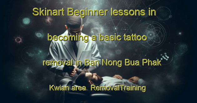 Skinart Beginner lessons in becoming a basic tattoo removal in Ban Nong Bua Phak Kwian area | RemovalTraining | RemovalClasses | SkinartTraining-Thailand