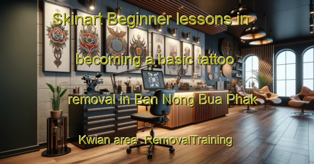 Skinart Beginner lessons in becoming a basic tattoo removal in Ban Nong Bua Phak Kwian area | RemovalTraining | RemovalClasses | SkinartTraining-Thailand