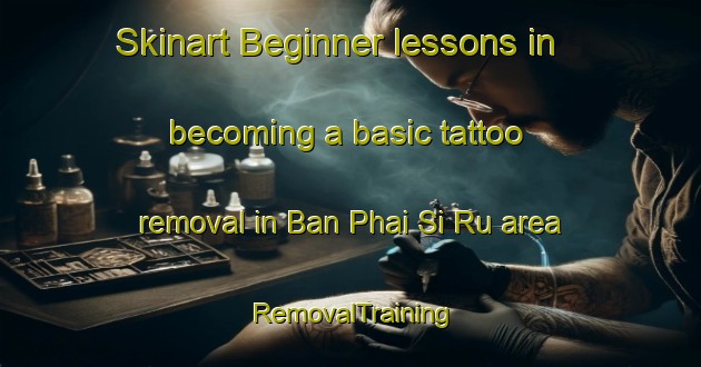 Skinart Beginner lessons in becoming a basic tattoo removal in Ban Phai Si Ru area | RemovalTraining | RemovalClasses | SkinartTraining-Thailand