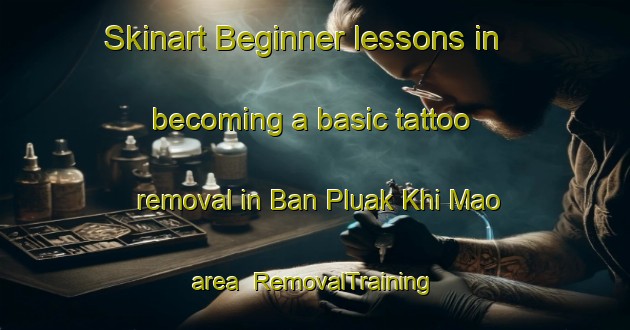 Skinart Beginner lessons in becoming a basic tattoo removal in Ban Pluak Khi Mao area | RemovalTraining | RemovalClasses | SkinartTraining-Thailand