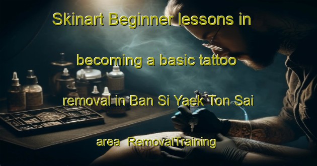 Skinart Beginner lessons in becoming a basic tattoo removal in Ban Si Yaek Ton Sai area | RemovalTraining | RemovalClasses | SkinartTraining-Thailand