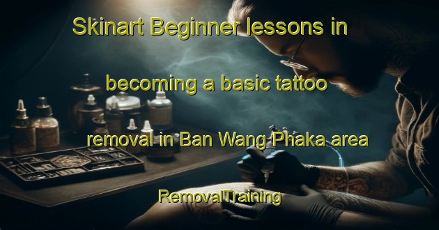 Skinart Beginner lessons in becoming a basic tattoo removal in Ban Wang Phaka area | RemovalTraining | RemovalClasses | SkinartTraining-Thailand