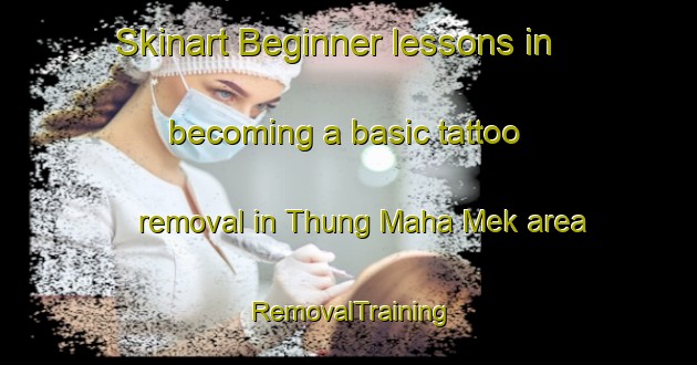 Skinart Beginner lessons in becoming a basic tattoo removal in Thung Maha Mek area | RemovalTraining | RemovalClasses | SkinartTraining-Thailand