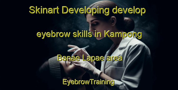 Skinart Developing develop eyebrow skills in Kampong Banae Lapae area | EyebrowTraining | EyebrowClasses | SkinartTraining-Thailand