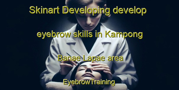Skinart Developing develop eyebrow skills in Kampong Banae Lapae area | EyebrowTraining | EyebrowClasses | SkinartTraining-Thailand