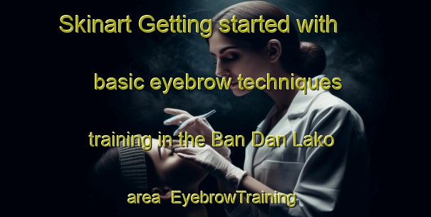 Skinart Getting started with basic eyebrow techniques training in the Ban Dan Lako area | EyebrowTraining | EyebrowClasses | SkinartTraining-Thailand