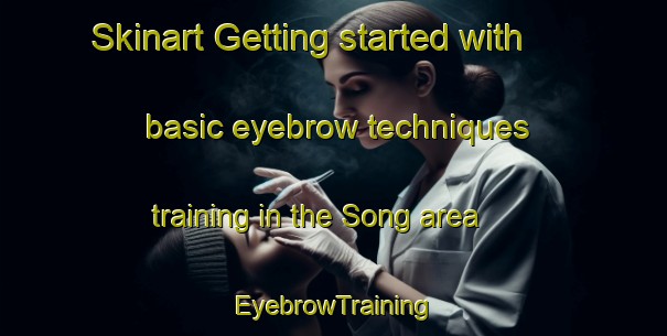 Skinart Getting started with basic eyebrow techniques training in the Song area | EyebrowTraining | EyebrowClasses | SkinartTraining-Thailand