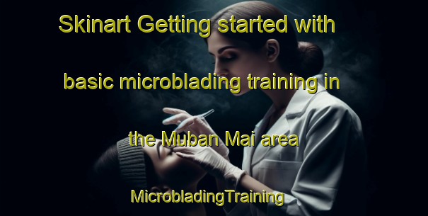 Skinart Getting started with basic microblading training in the Muban Mai area | MicrobladingTraining | MicrobladingClasses | SkinartTraining-Thailand