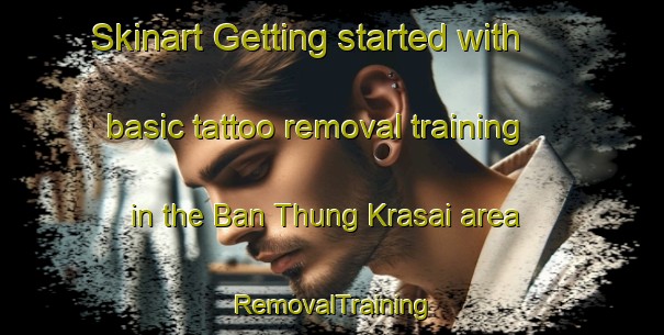 Skinart Getting started with basic tattoo removal training in the Ban Thung Krasai area | RemovalTraining | RemovalClasses | SkinartTraining-Thailand