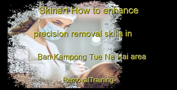 Skinart How to enhance precision removal skills in Ban Kampong Tue Na Hai area | RemovalTraining | RemovalClasses | SkinartTraining-Thailand