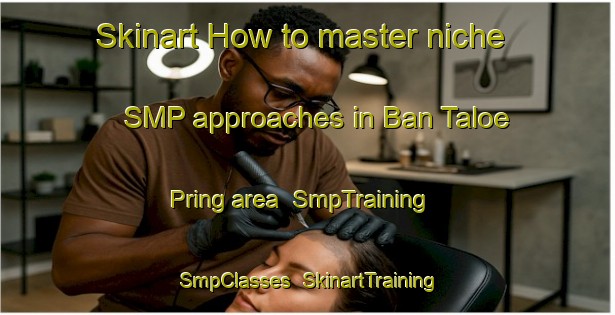 Skinart How to master niche SMP approaches in Ban Taloe Pring area | SmpTraining | SmpClasses | SkinartTraining-Thailand
