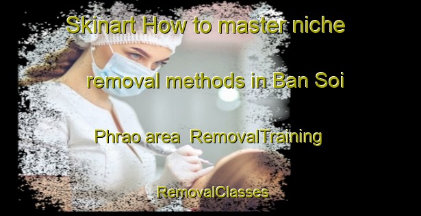 Skinart How to master niche removal methods in Ban Soi Phrao area | RemovalTraining | RemovalClasses | SkinartTraining-Thailand