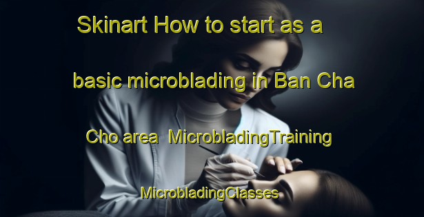 Skinart How to start as a basic microblading in Ban Cha Cho area | MicrobladingTraining | MicrobladingClasses | SkinartTraining-Thailand