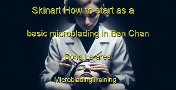 Skinart How to start as a basic microblading in Ban Chan Song La area | MicrobladingTraining | MicrobladingClasses | SkinartTraining-Thailand