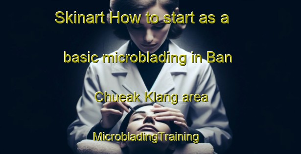 Skinart How to start as a basic microblading in Ban Chueak Klang area | MicrobladingTraining | MicrobladingClasses | SkinartTraining-Thailand