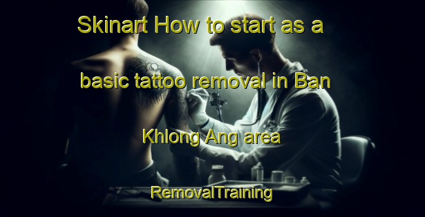 Skinart How to start as a basic tattoo removal in Ban Khlong Ang area | RemovalTraining | RemovalClasses | SkinartTraining-Thailand