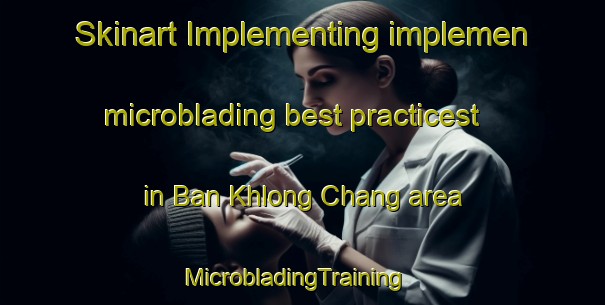 Skinart Implementing implemen microblading best practicest in Ban Khlong Chang area | MicrobladingTraining | MicrobladingClasses | SkinartTraining-Thailand